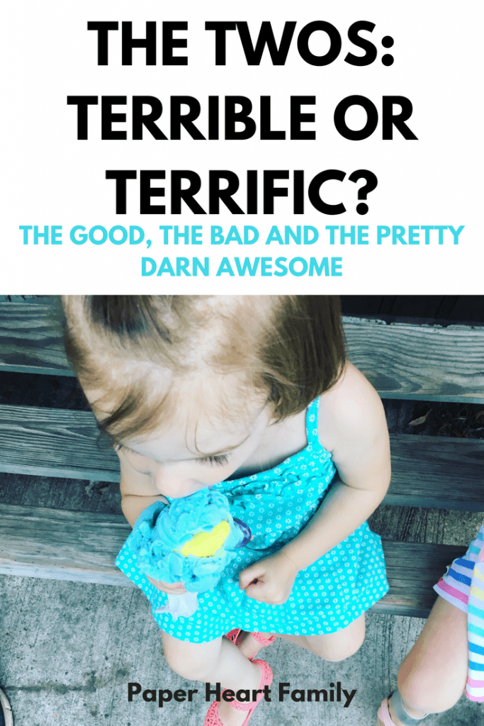 characteristics of a two year old