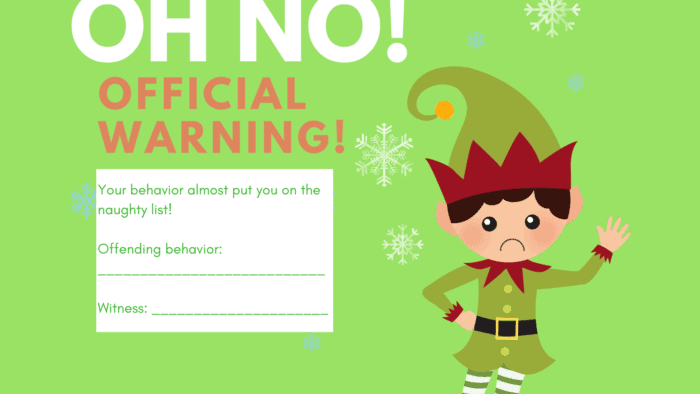 Elf on the Shelf Official Warning- Boy Elf