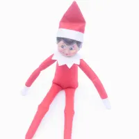 Wondering what to name your Elf on the Shelf? This list of over 200 names will help you find the perfect one.