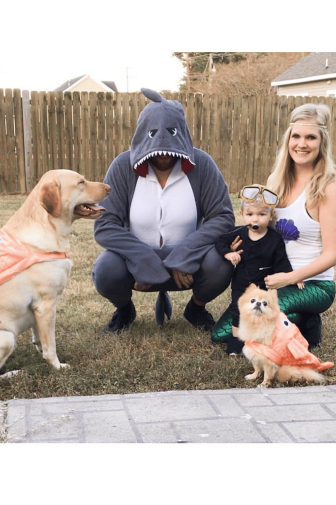 Father as a shark, mom as a mermaid, baby as a diver and dogs as fish