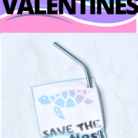 Save the turtles VSCO Girl Valentines With Reuseable Straw