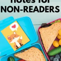 Lunch Box Notes For Non Readers