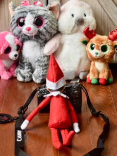 Easy Elf on the Shelf Ideas for Toddlers