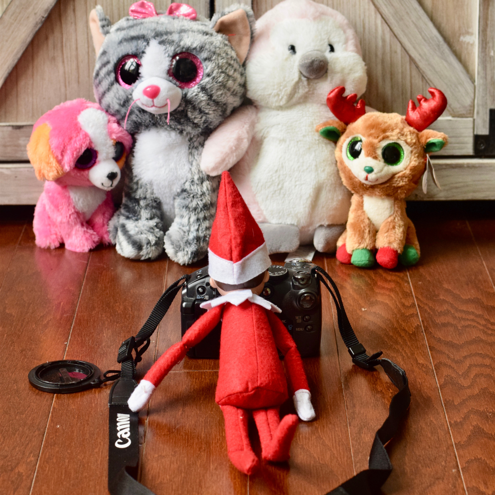 37 Easy Elf On The Shelf Ideas For Toddlers