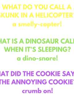 Jokes For 5 Year Olds