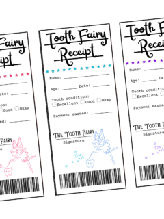 Tooth Fairy Receipts