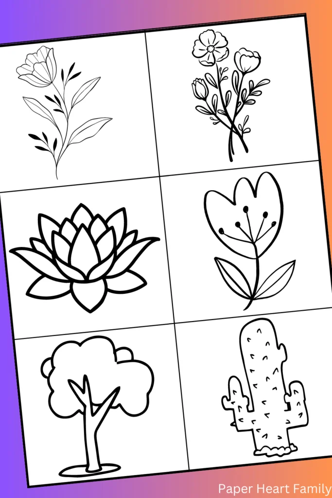 Flower and Outdoor Drawing Ideas