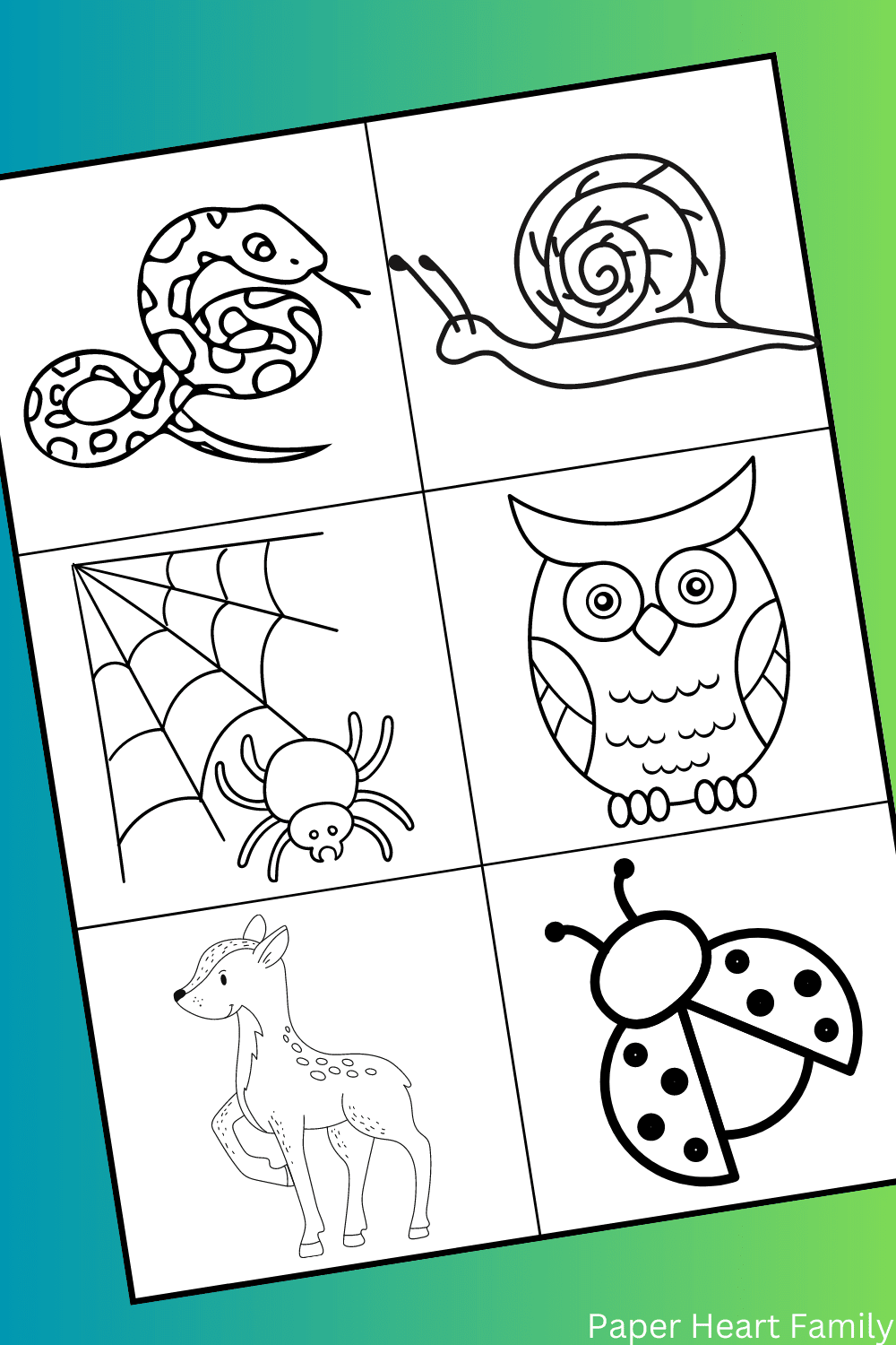 Animal Drawing For Kids
