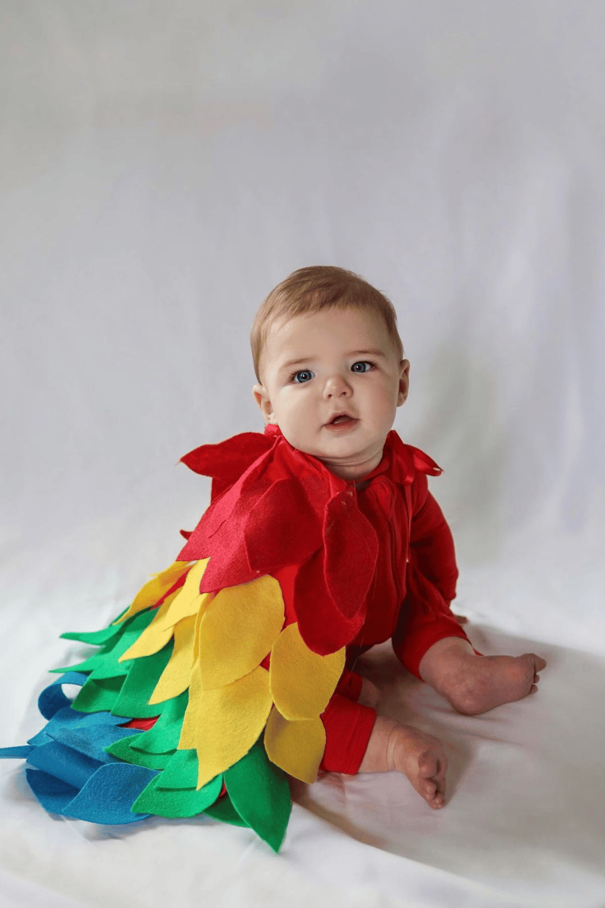 Baby dressed as a parrot with red, yellow, green and blue felt feathers