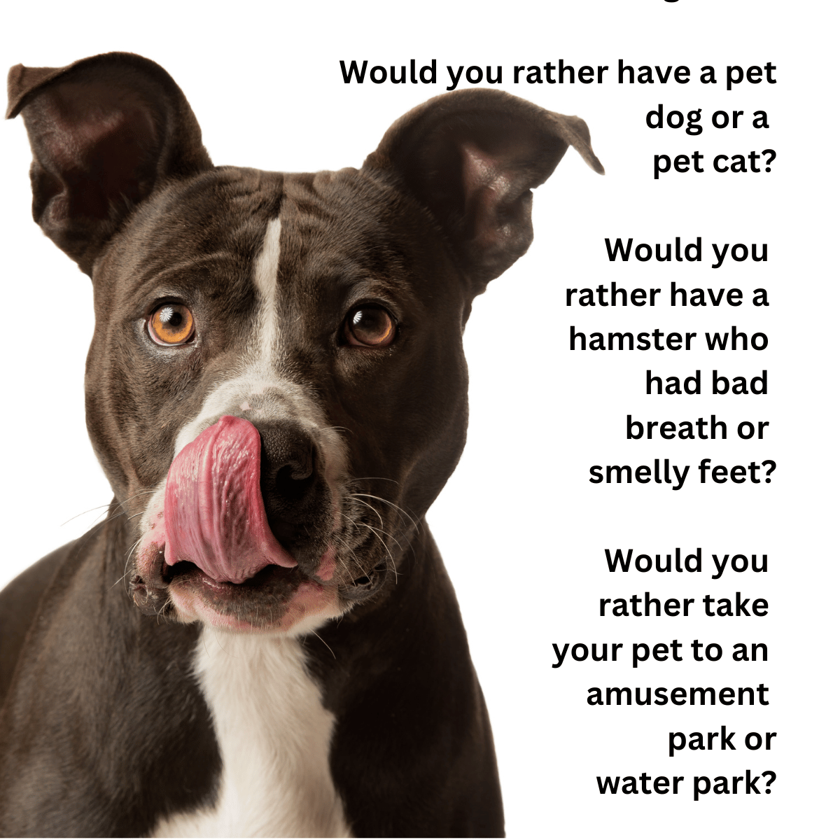 150 Best Animal Would You Rather Questions For Kids