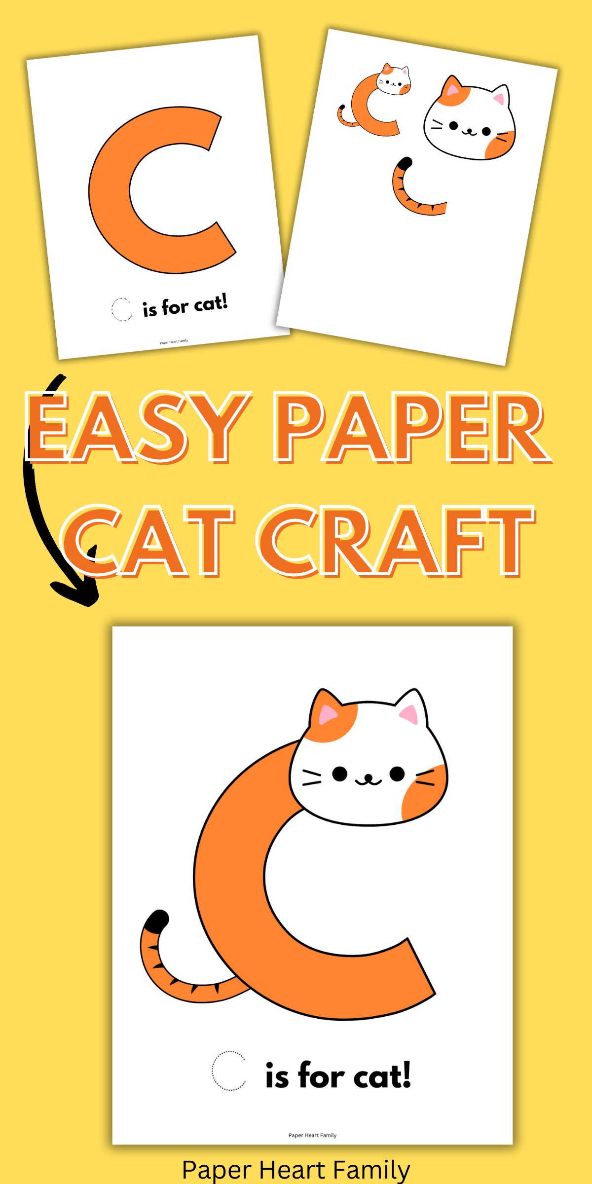 Orange and white cat with cut and paste head and tail.
